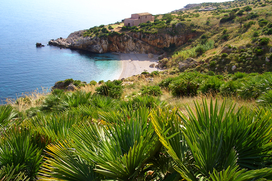 Palma Nana, Riserva Naturale Orientata dello Zingaro